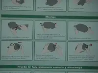 Limpieza y mantenimiento del ventilador manual (ambu)