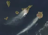 Arde Canarias. Más de 13000 evacuados.
