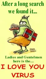 Cierre de e-mergencia.com