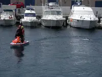 Protección Civil de La Laguna (Tenerife) recupera el cadáver de un calderón tropical
