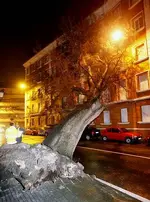 Primer Temporal de Mar del año 2009