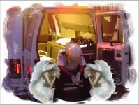 Presentaciones y Bienvenidas