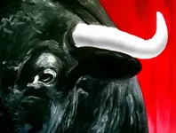 Ambulancias sanitarizadas (enfermero+TTS)