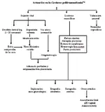Decisiones en accidente con varias víctimas