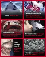 ¡¡ Soy fumador/a y quiero dejar el tabaco !!