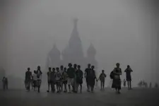 Emergencia en Rusia por incendios forestales