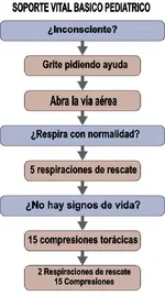 Resumen de las recomendaciones del 2010 del ERC en Soporte Vital Pediátrico