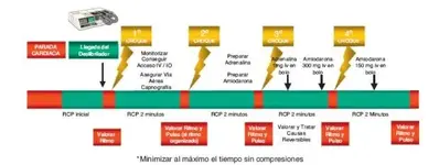 Determina el Modelo de Atención Pre hospitalaria la Metodología ABC o CAB ?