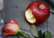Steve Jobs 1955-2011