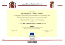 Guías de Evaluación y Acreditación de las competencias profesionales.