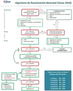 Reanimación Neonatal