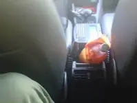 Nuestra seguridad como pasajeros del taxi