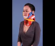 Collarines Cervicales