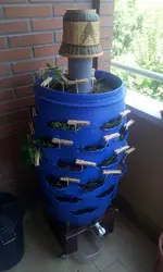 72 Horas de Auto Ayuda