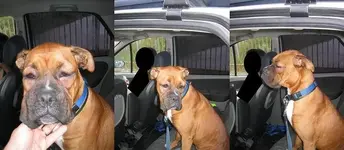 Caducidad de Viales IM