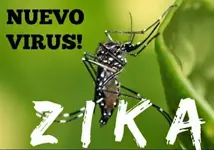 Brasil en alerta por los miles de bebés nacidos con microcefalia