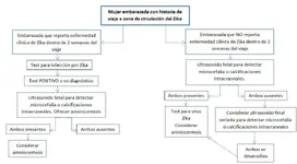 Brasil en alerta por los miles de bebés nacidos con microcefalia