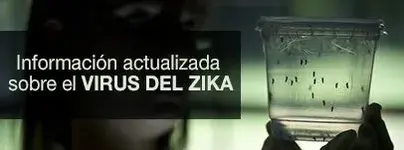 Brasil en alerta por los miles de bebés nacidos con microcefalia