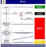 Clasificación ante sospecha de lesión medular traumática