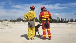 Capacidades y roles de un equipo USAR Liviano,Mediano y Pesado