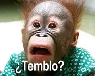 Otro Temblor, casi normal en Chile...