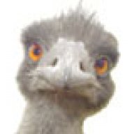 Jairo Ernesto Moreno