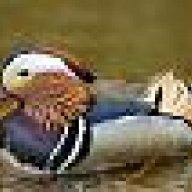 GOMEZ GOMEZ GERARDO V.