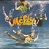 Mc Fly